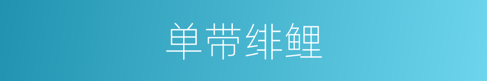 单带绯鲤的同义词