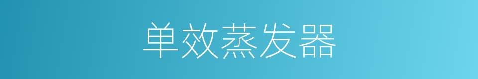单效蒸发器的同义词