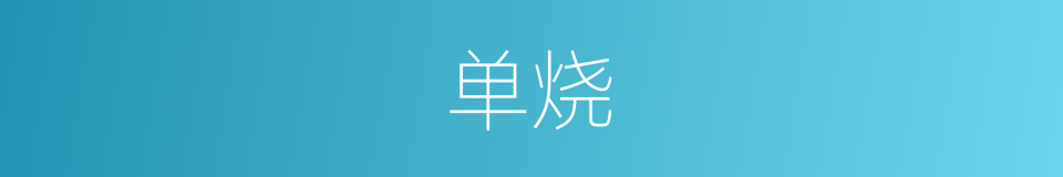 单烧的同义词