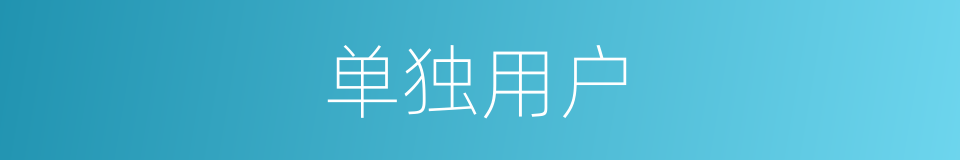 单独用户的同义词