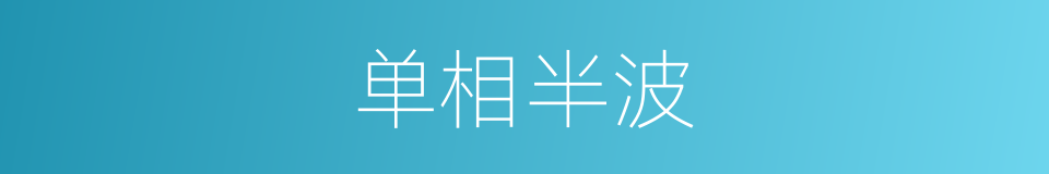 单相半波的同义词