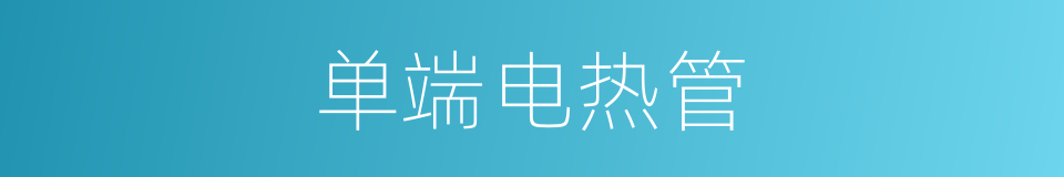 单端电热管的同义词