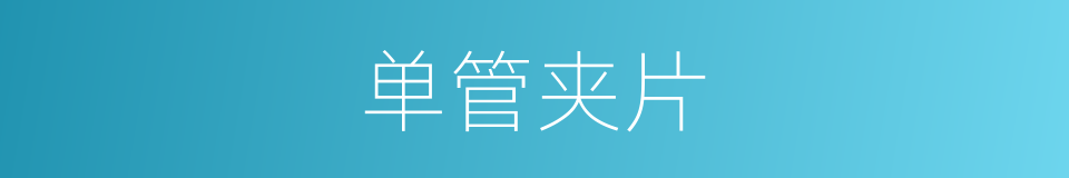 单管夹片的同义词