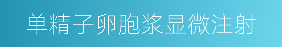 单精子卵胞浆显微注射的同义词