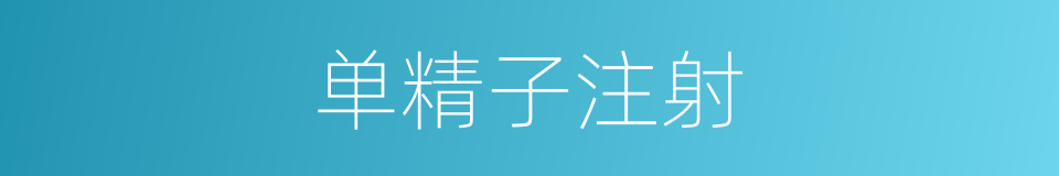 单精子注射的同义词