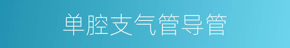 单腔支气管导管的同义词