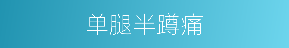 单腿半蹲痛的同义词