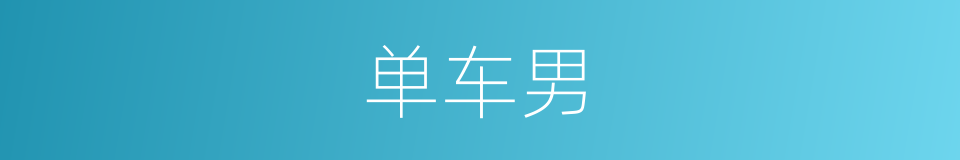 单车男的意思