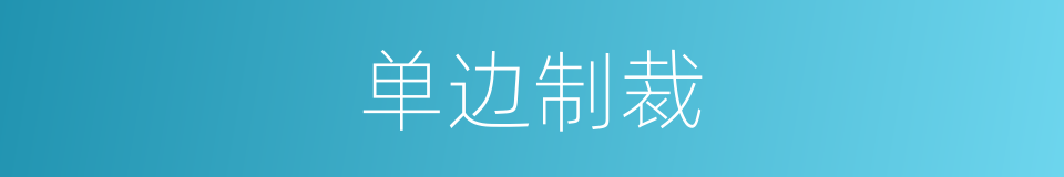 单边制裁的同义词