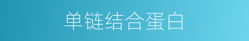 单链结合蛋白的同义词