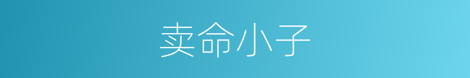 卖命小子的同义词
