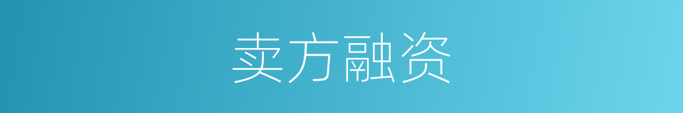 卖方融资的同义词