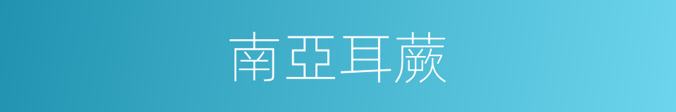 南亞耳蕨的同義詞