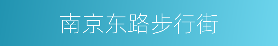 南京东路步行街的同义词