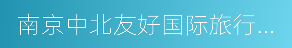 南京中北友好国际旅行社有限公司的同义词