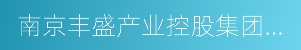 南京丰盛产业控股集团有限公司的同义词