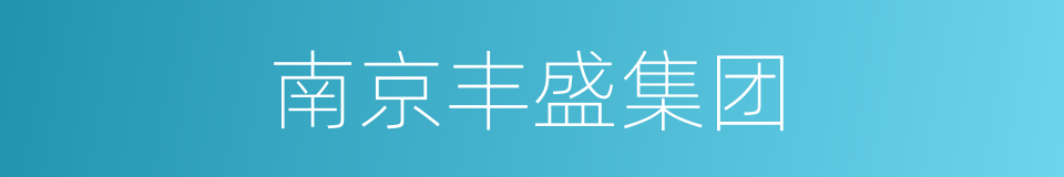 南京丰盛集团的同义词