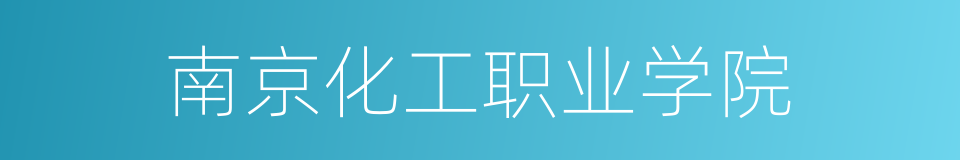 南京化工职业学院的同义词