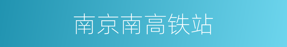 南京南高铁站的同义词