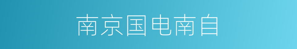 南京国电南自的同义词