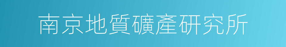 南京地質礦產研究所的同義詞