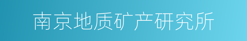 南京地质矿产研究所的同义词