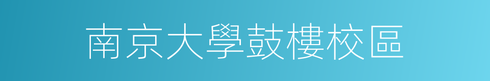 南京大學鼓樓校區的同義詞