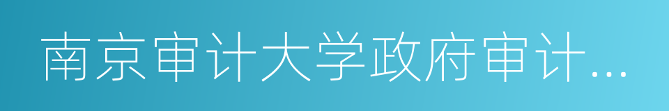 南京审计大学政府审计学院的同义词