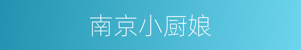 南京小厨娘的同义词