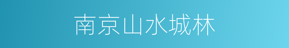 南京山水城林的同义词
