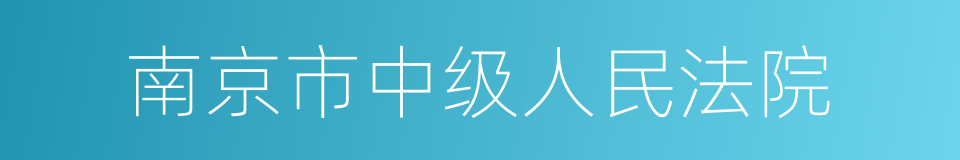 南京市中级人民法院的同义词