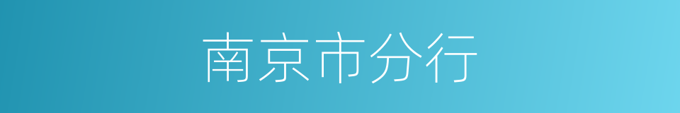南京市分行的同义词