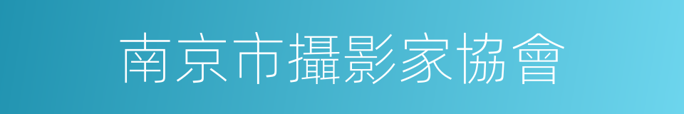 南京市攝影家協會的同義詞