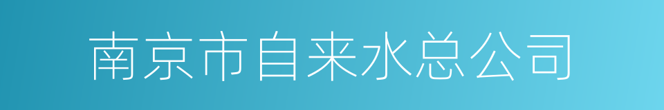 南京市自来水总公司的同义词