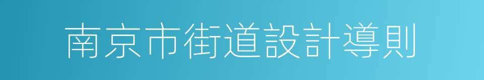 南京市街道設計導則的同義詞