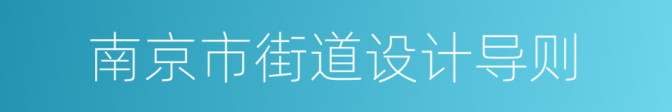 南京市街道设计导则的同义词