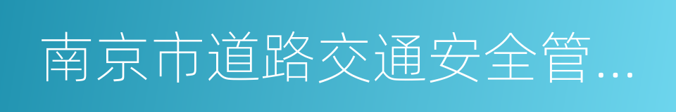 南京市道路交通安全管理条例的同义词