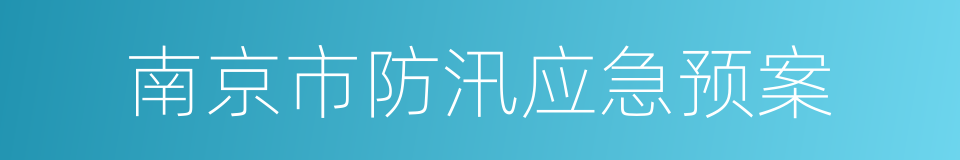 南京市防汛应急预案的同义词