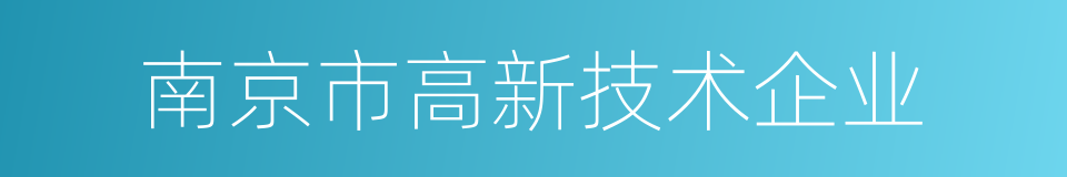 南京市高新技术企业的同义词