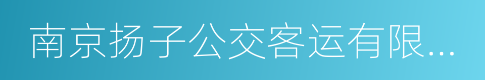 南京扬子公交客运有限公司的同义词