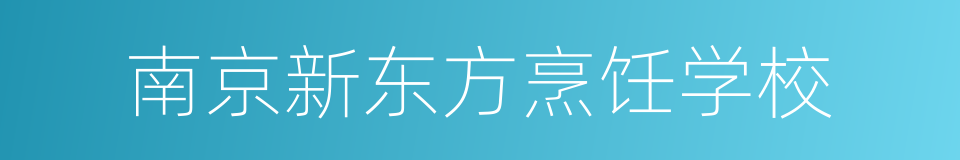 南京新东方烹饪学校的同义词