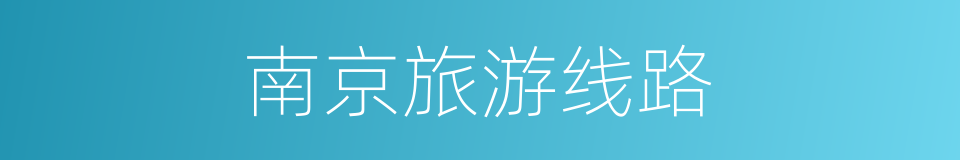 南京旅游线路的同义词