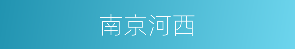 南京河西的同义词