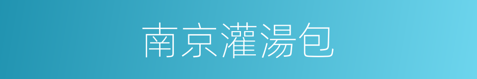 南京灌湯包的同義詞