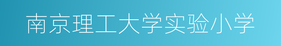 南京理工大学实验小学的同义词