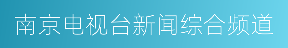 南京电视台新闻综合频道的同义词