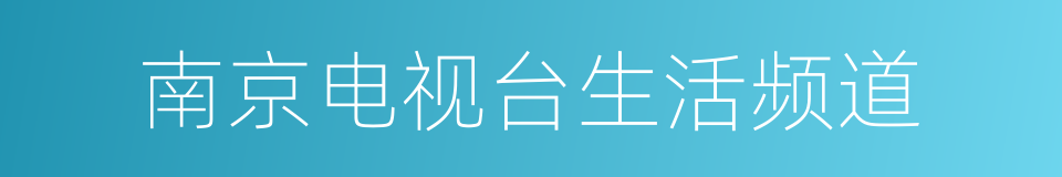 南京电视台生活频道的同义词