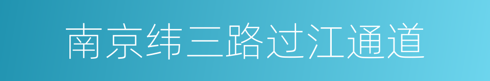 南京纬三路过江通道的同义词