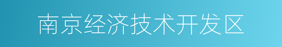 南京经济技术开发区的同义词