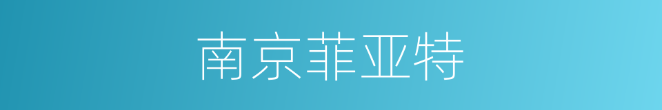 南京菲亚特的同义词